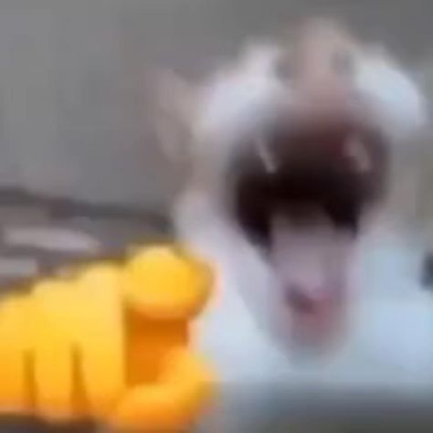 aaronkunjani's profile banner image