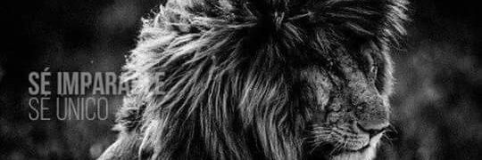 DP_Gordon's profile banner image