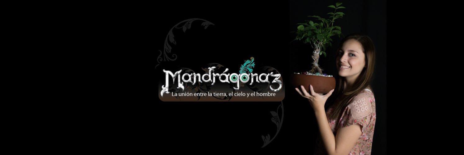 Mandragonaz's profile banner image