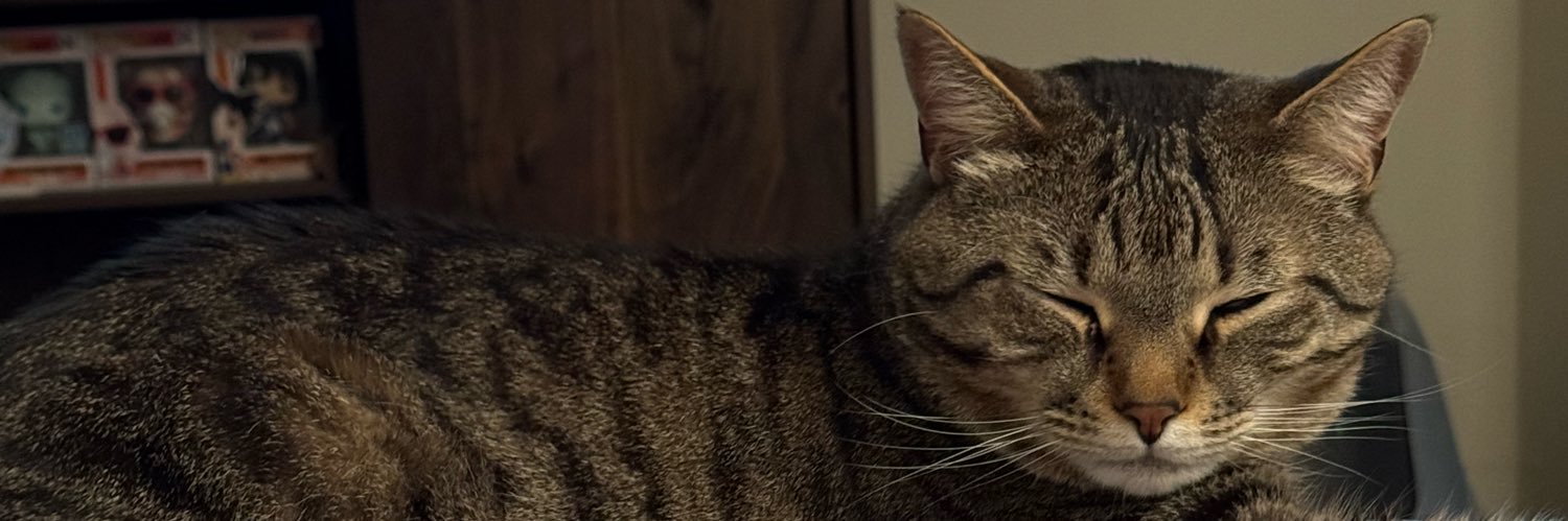 Angelle (cr: ACOK 👑) banner