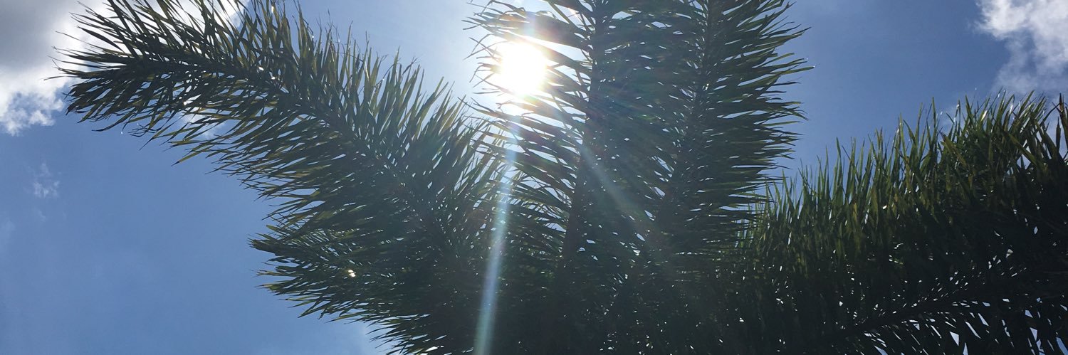 Destiny_xox's profile banner image
