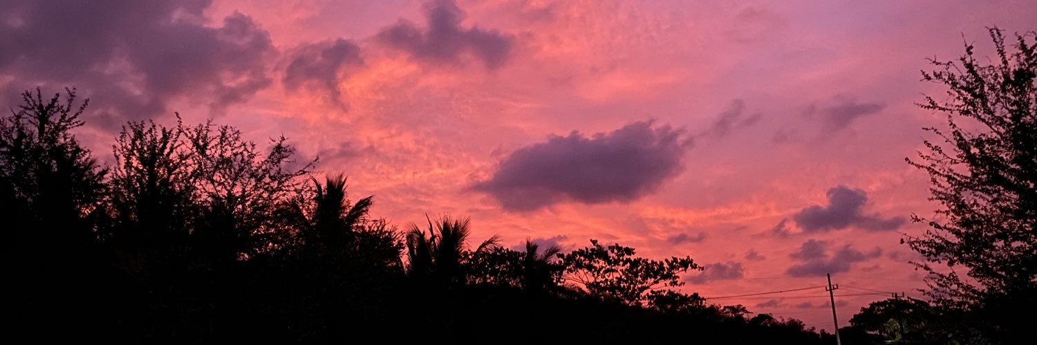 lndcmll's profile banner image