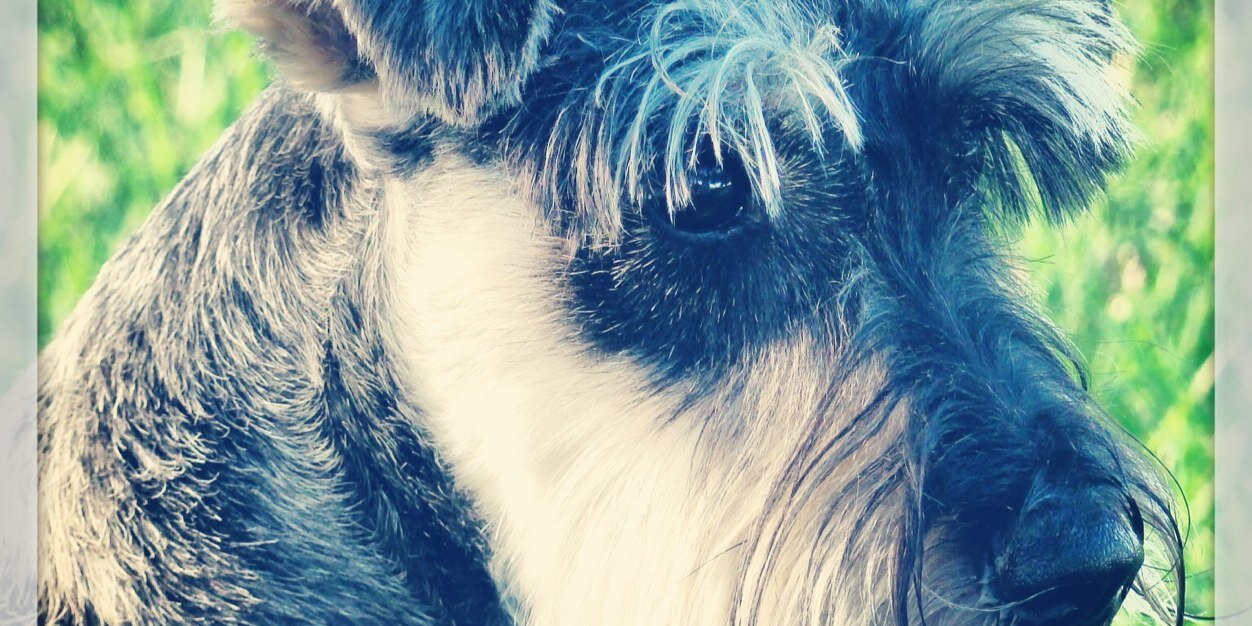 Agusmitre's profile banner image