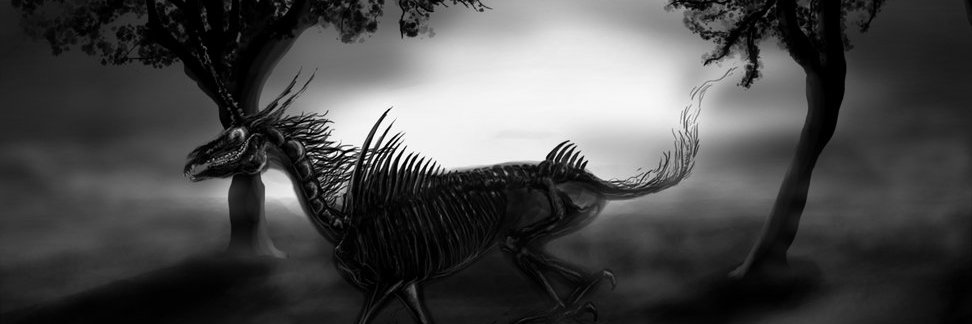 Cinnia's profile banner image