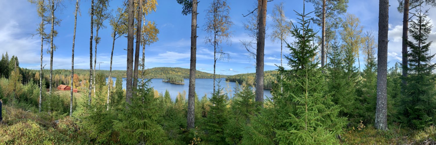 Ana M🦙✊🏼 banner