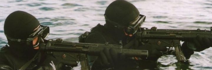 Vertsmen banner