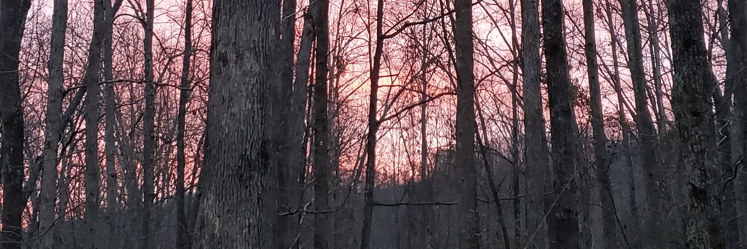 davempitman's profile banner image