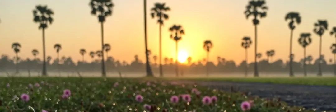 AungLay938604's profile banner image