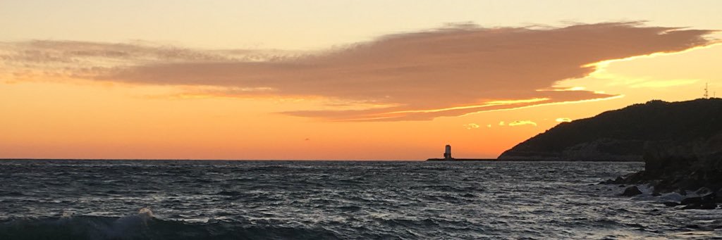 maivista's profile banner image