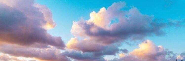 FeonixBird's profile banner image