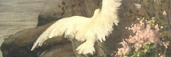 🇮🇶 فرح banner