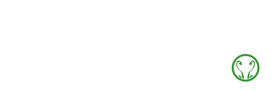 𝘔𝘢𝘯𝘵𝘪𝘴 ⟢ banner