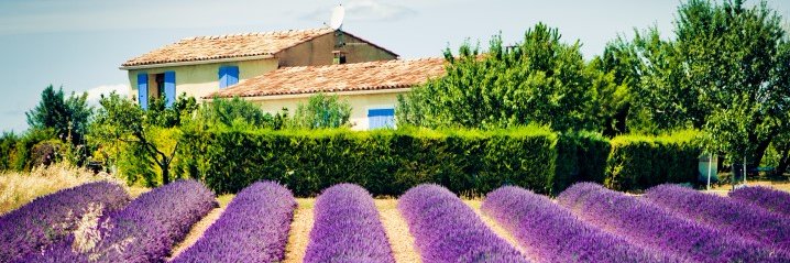 1stForFrenchProperty banner