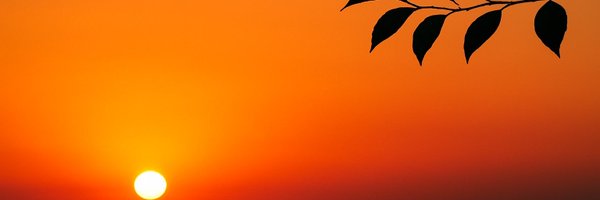 Manusingh94 Profile Banner