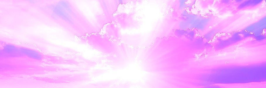 leila 🪻😇 banner