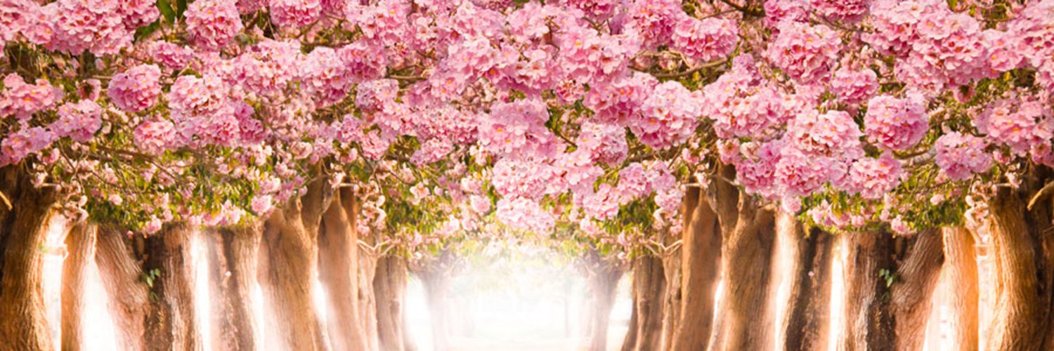 Sebastian Manumbu| ETHGas ⛽ banner