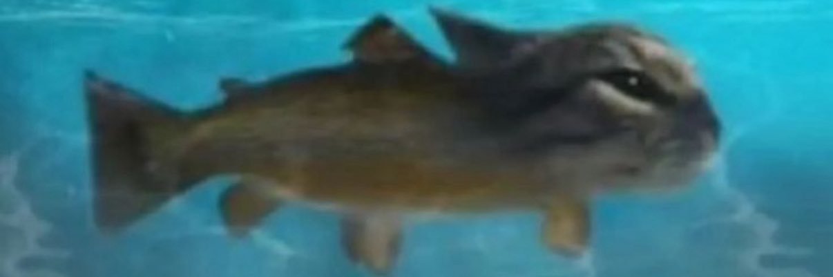 stavvvi's profile banner image