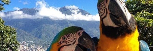 DrRamonMavarez's profile banner image