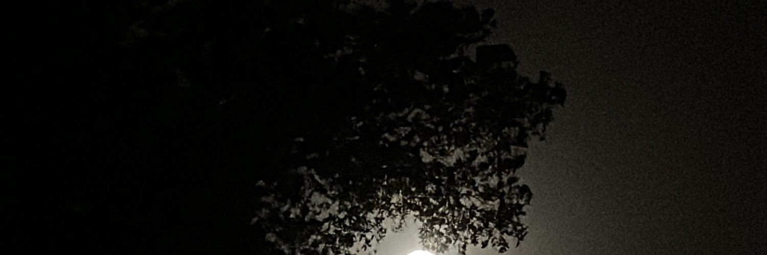 murj1998's profile banner image