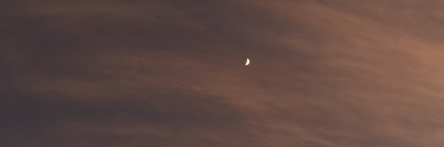 danulaz's profile banner image
