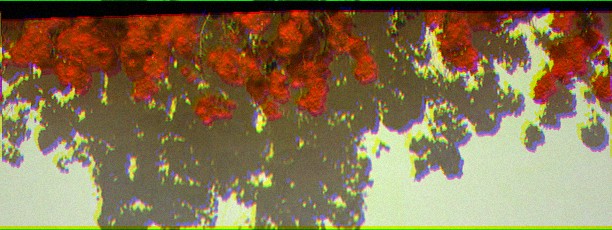 deletingrn's profile banner image