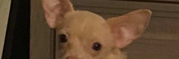 Jsn_gomes1976 Profile Banner