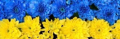kcusaxu's profile banner image