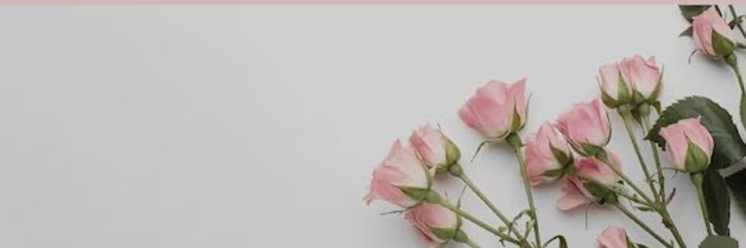SapphireNH28's profile banner image