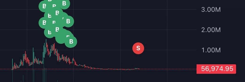 Miffed Kitten banner