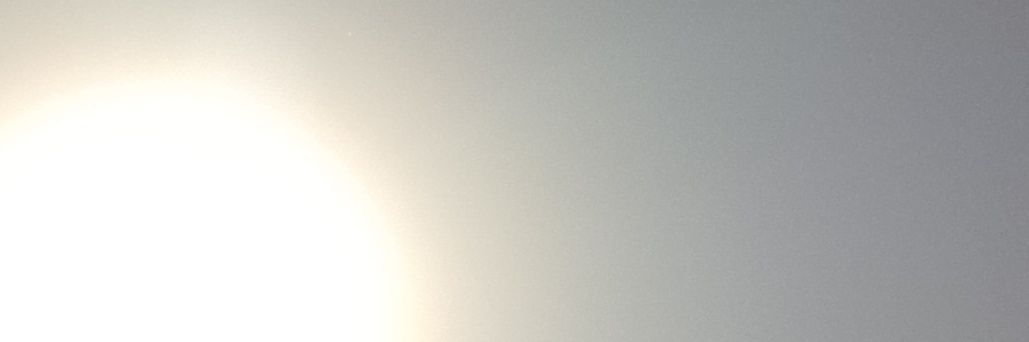 te digo la verdad... 🇦🇷🇻🇦🇵🇸 banner