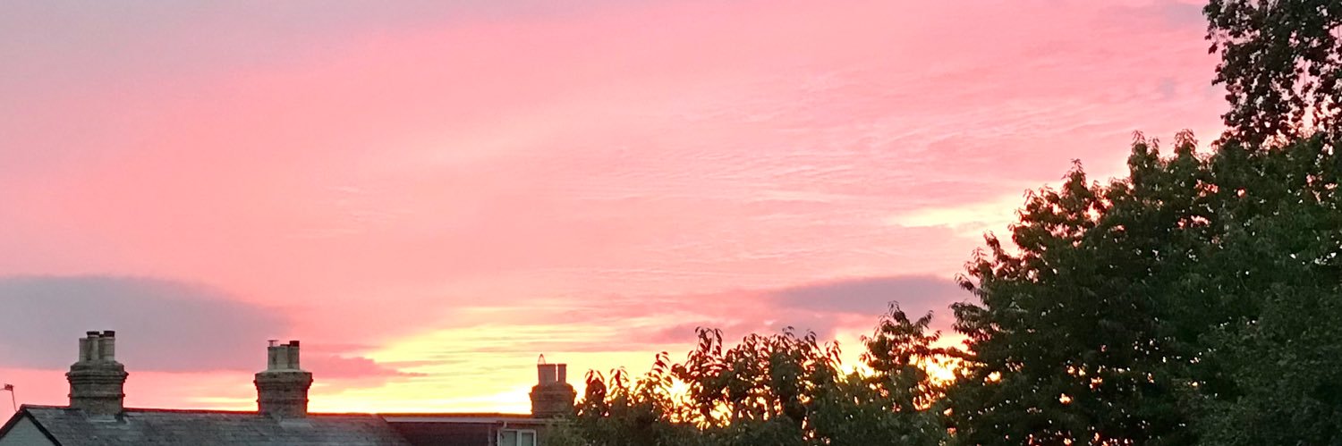 @chrissieroyal banner