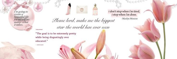 dottie banner