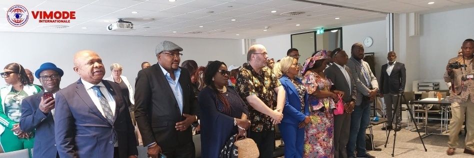 Vimode International banner