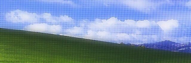 뉴 banner