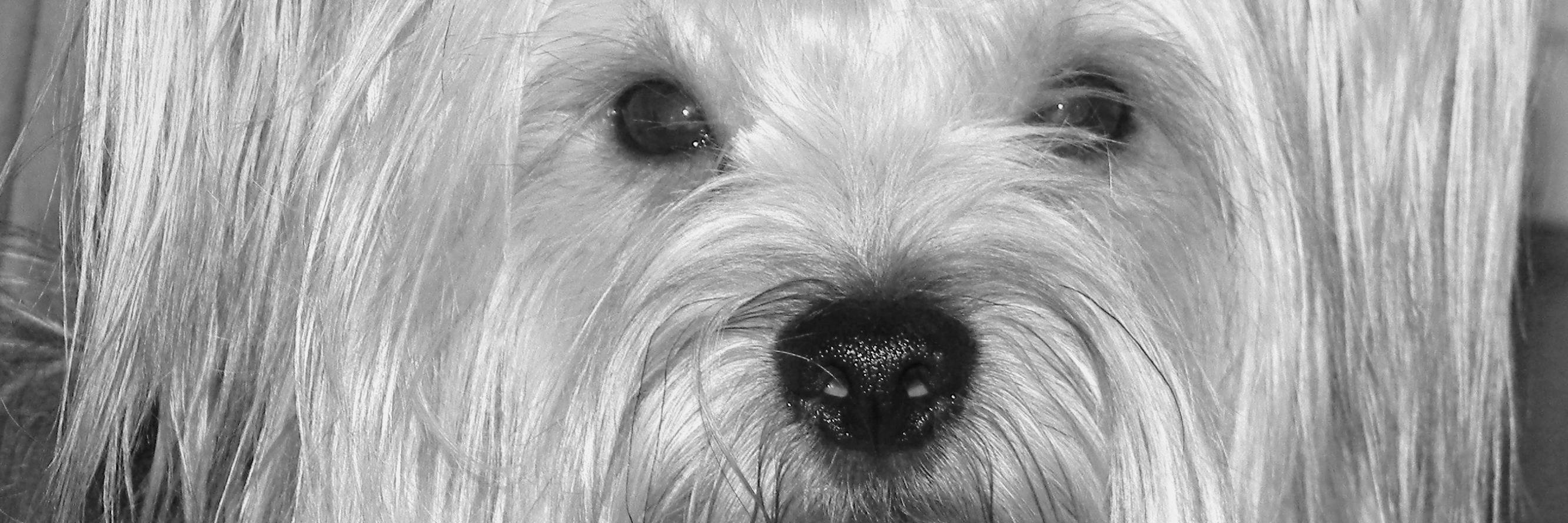tititofernandez's profile banner image