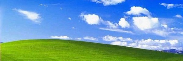 anyducku Profile Banner