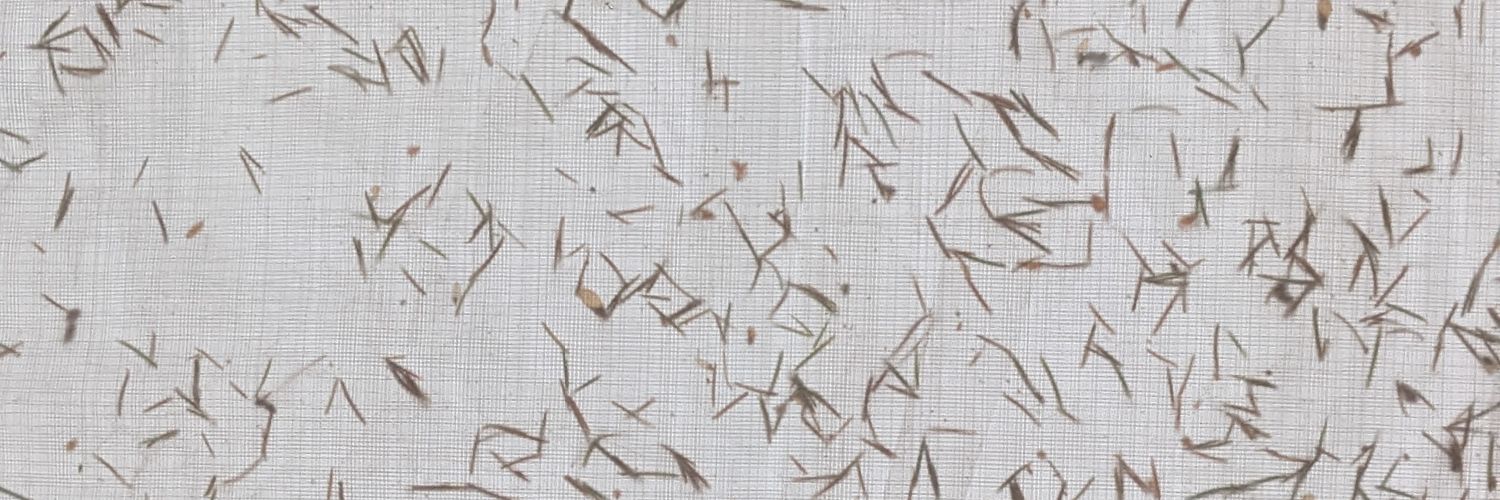 @nigini@social.coop banner