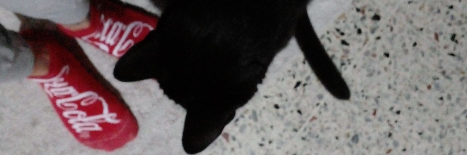 mechitauro's profile banner image