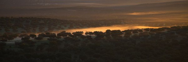 ediciones_dps Profile Banner