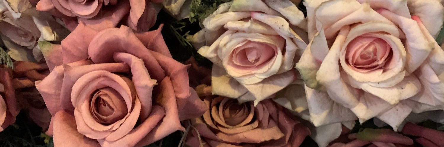 annadrinksitall's profile banner image