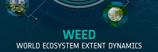 WEEDynamics Profile Banner