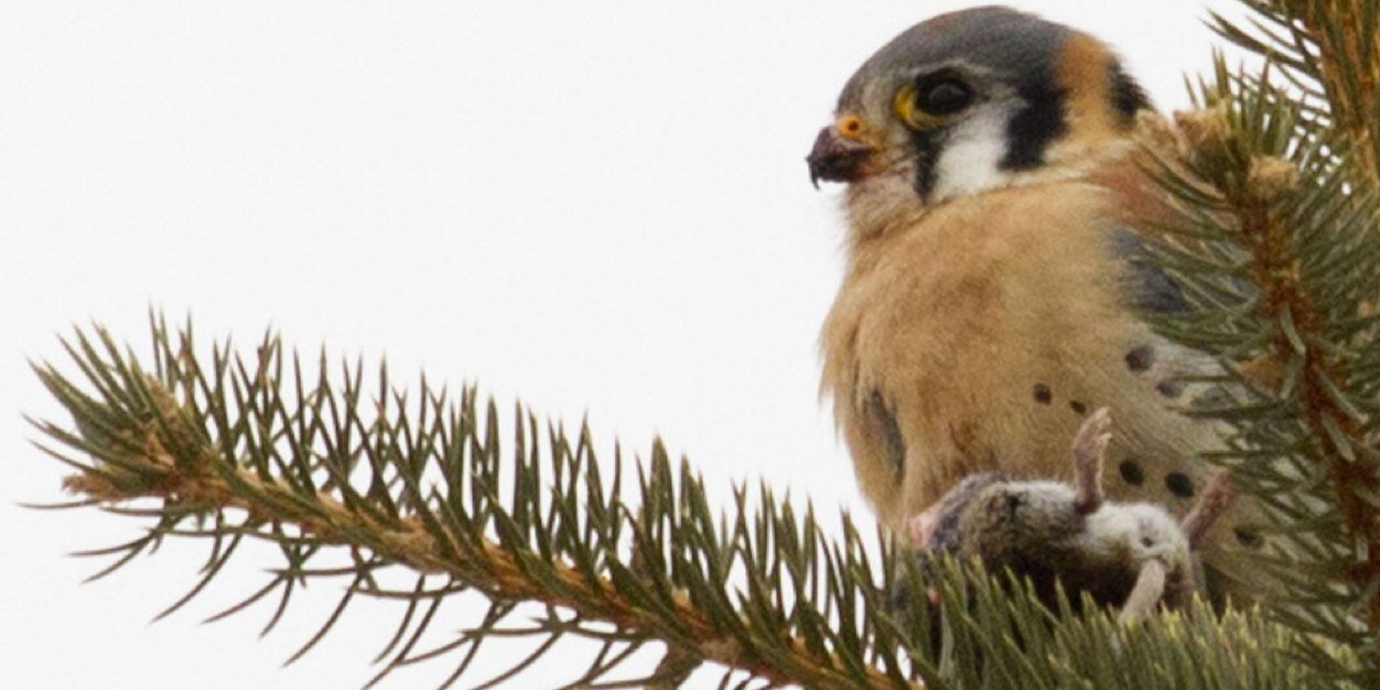 Three feet to infinity banner