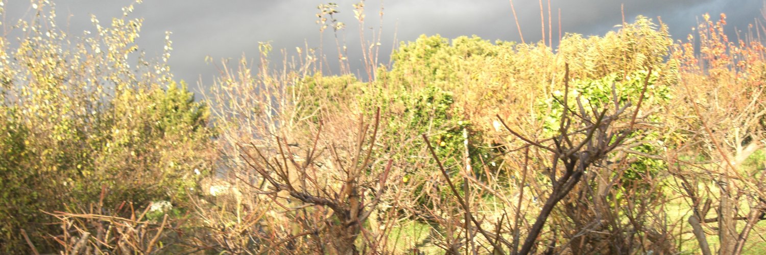 triple_life's profile banner image