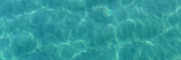 LogoJulia Profile Banner