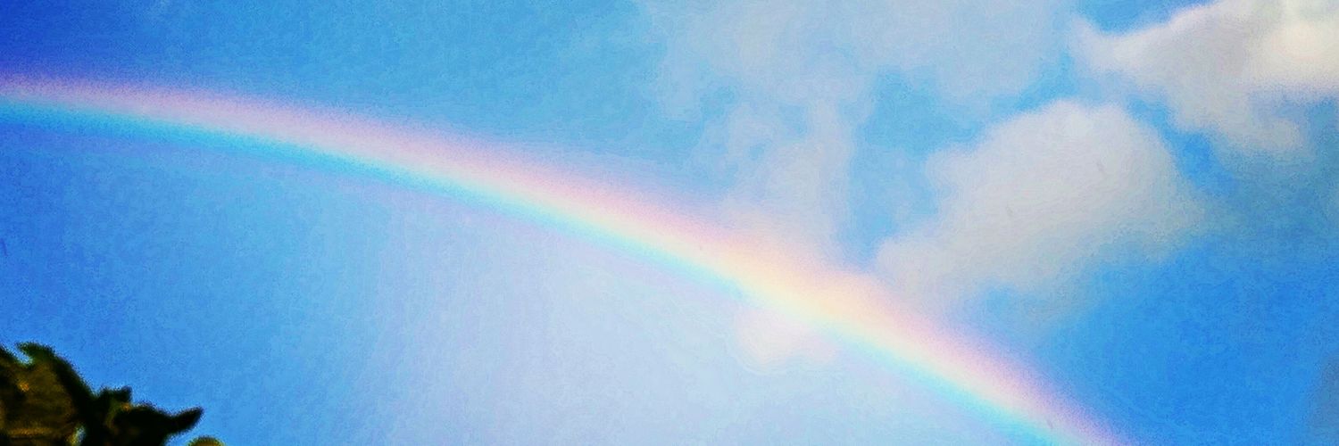 crazyforfox's profile banner image
