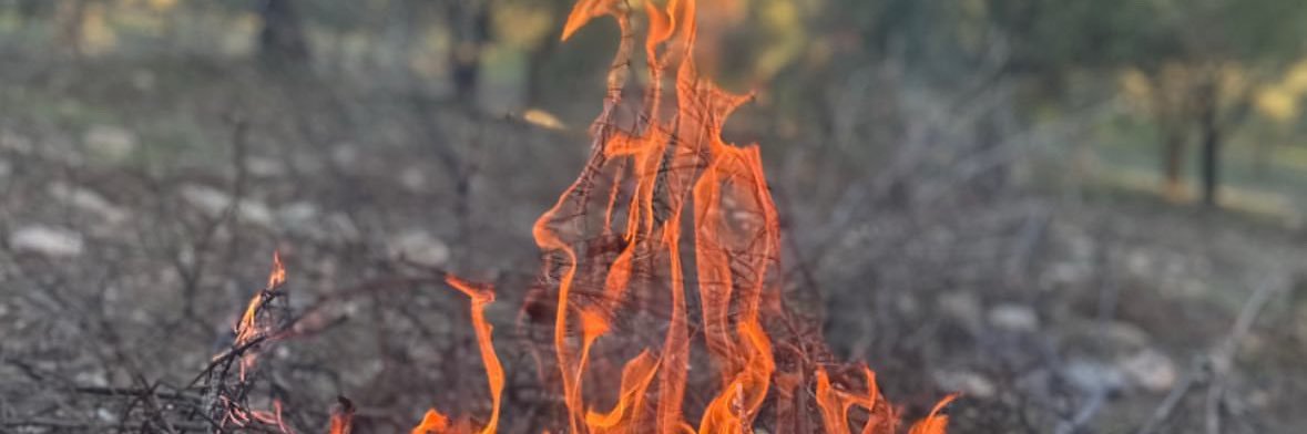 Kaybeden Adam banner