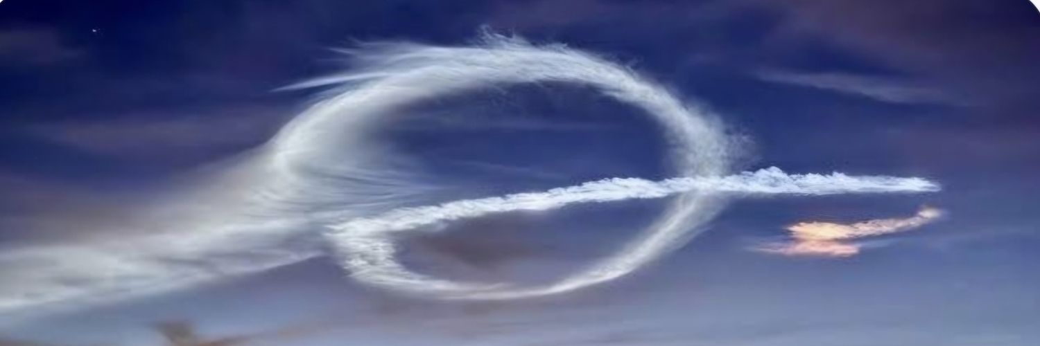 l_meyer_'s profile banner image