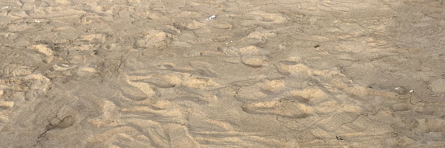 妳落的淚得到答案了嗎 banner