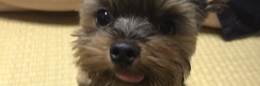 mnchiiiii's profile banner image