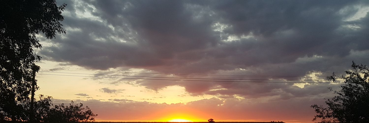 mdavid82's profile banner image